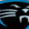 Carolina Panthers
